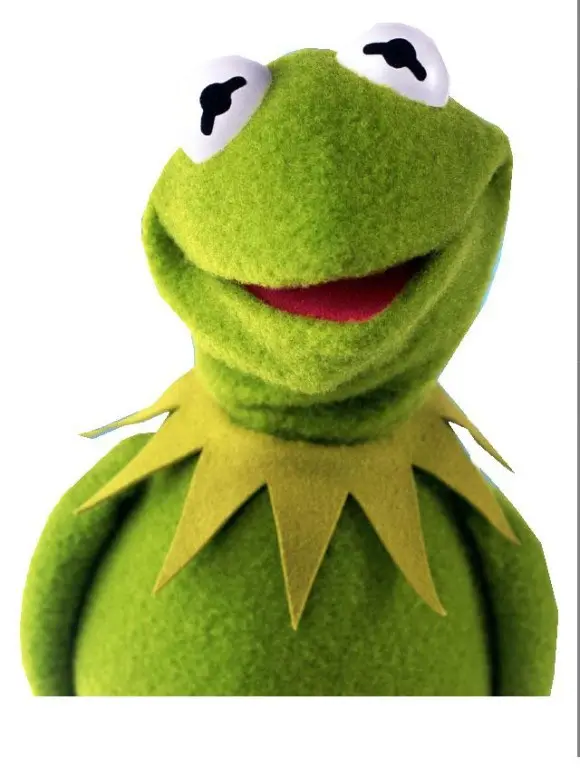 kermit the frog puppet near me