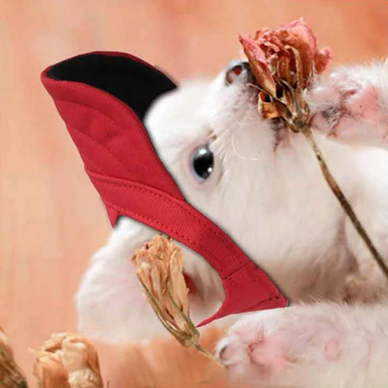 Модная летняя кепка для собак 3 цвета бейсболка маленьких кошек Кепка с ушками