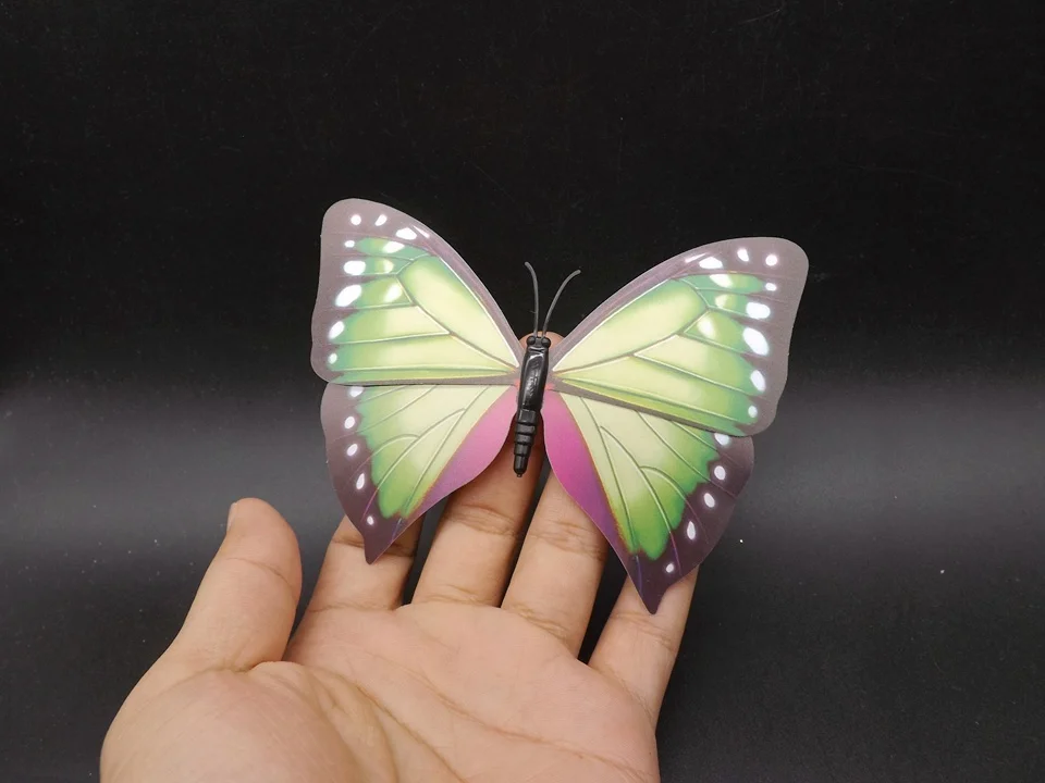 I238-Butterfly (1)