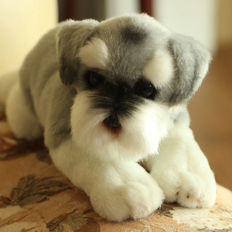 Simulation dog Schnauzer plush toy cartoon doll birthday gift for children gifts creative  decoration DY50295  (3)