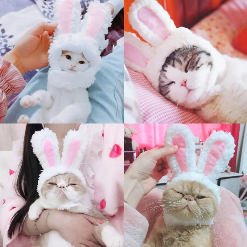 

Hot Sale The New Pet Headdress Dog Funny Rabbit Ear Cap Cross-border Cat Headdress Cute Rabbit Cross-dress Cap