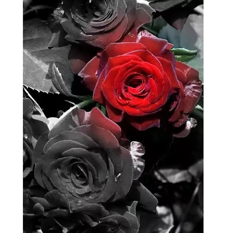 Huacan-diamantes-mosaico-venta-de-flores-de-diamantes-de-imitaci-n-fotos-bordado-de-diamantes-diamante.jpg_640x640 (6)