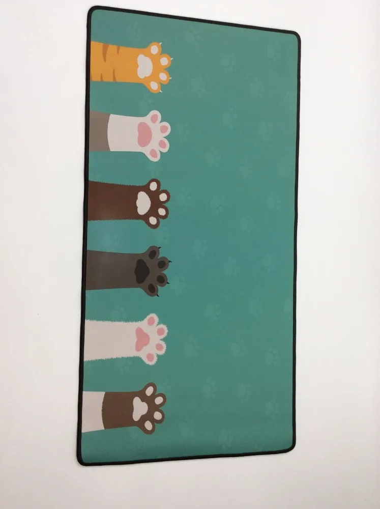 IMG_2141