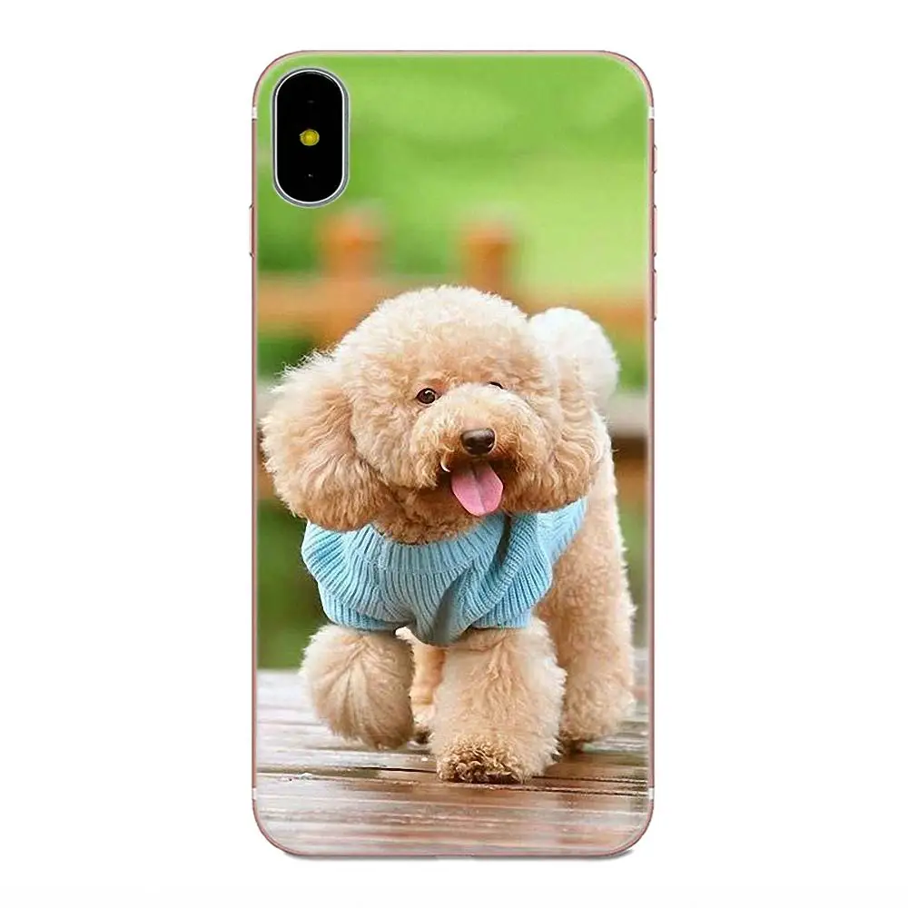 Мягкий резиновый чехол для телефона Samoyed Pomeranian dog Для Xiaomi Note 3 4 Mi3 Mi4 Mi4C Mi4i Mi5 Mi 5S 5X 6 6X