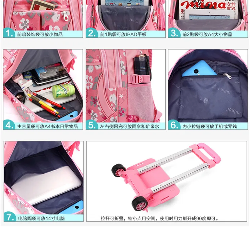 2703075937_1093179098