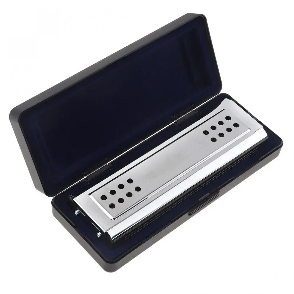 Professional 24 Holes Key Of C&G Silver Double-side Tremolo Harmonica for Adult Beginner and Children