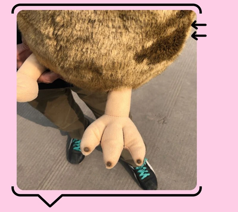 Big Simulation KIWI Bird Doll Animal Kiwi Bird Plush Toys Realistic Animals Plush Toys Gifts Deco 20inch 50cm DY50603(5)