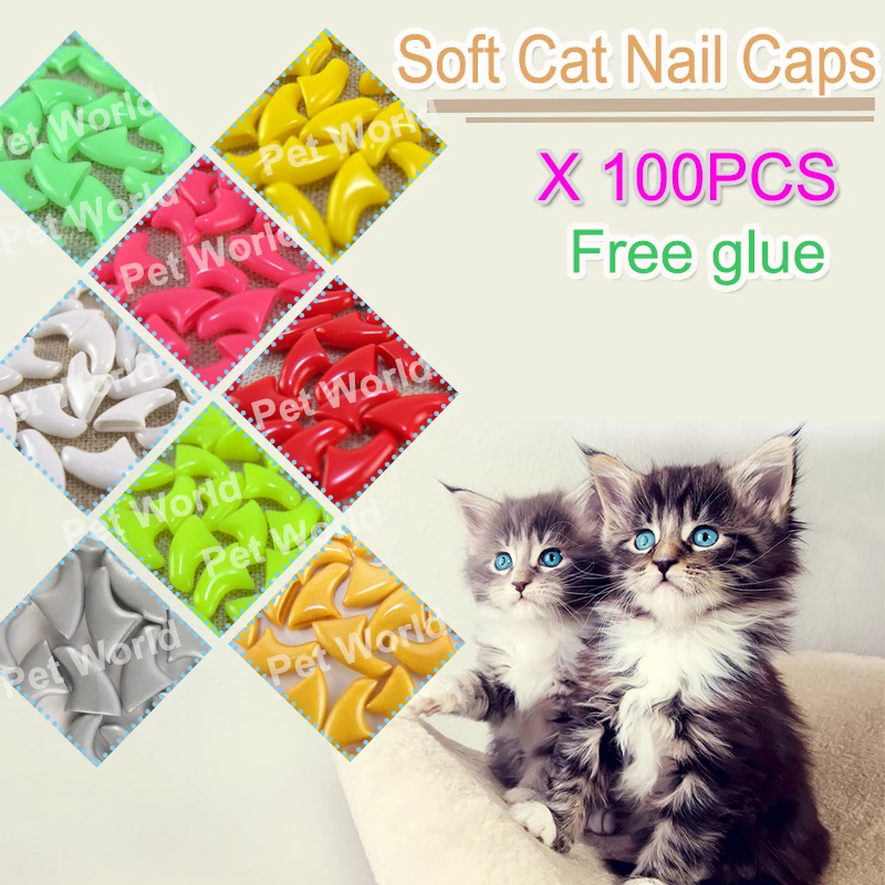 Do Dog Nail Caps Work