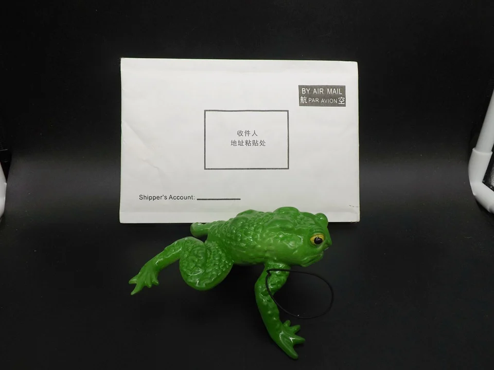 J165-Frog (10)