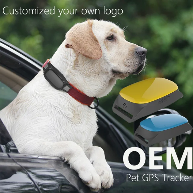 Buy waterproof Smart Cats dogs GPS Tracking device