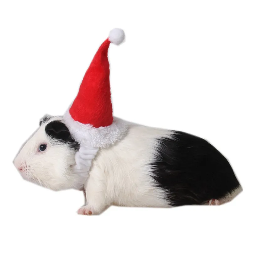 Christmas Pet Cat Hats Caps Adjustable Elastic Band Rabbit Guinea Pig Totoro Puppy Dog Head Supplies Party Decoration #F#40NV14 (23)