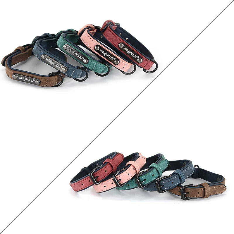 dog collar (6)