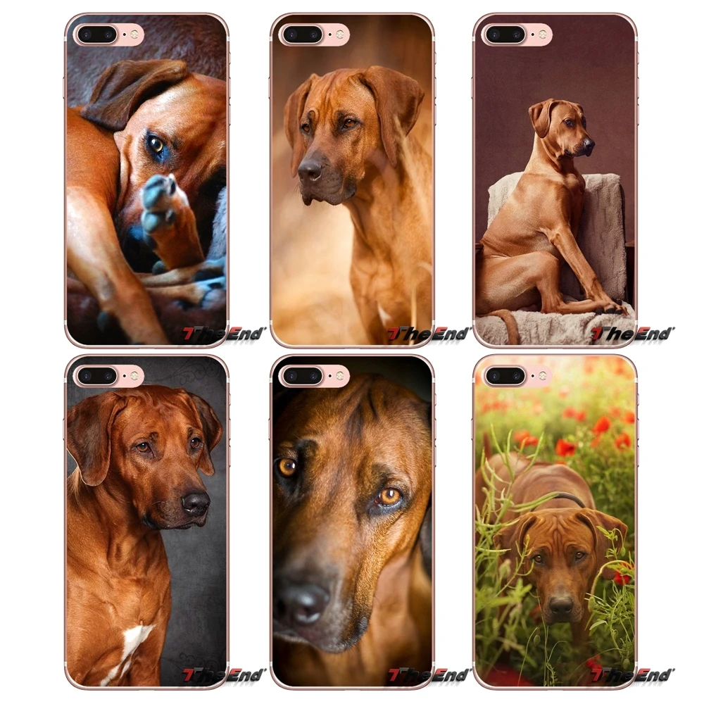 

Rhodesian Ridgeback Dog Fashion Phone Case For iPhone X 4 4S 5 5S 5C SE 6 6S 7 8 Plus Samsung Galaxy J1 J3 J5 J7 A3 A5 2016 2017