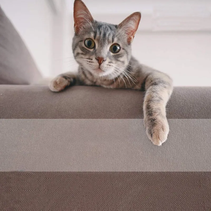 

Anti-Scratch Cat Training Tape Double-Sided Cat Scratch Tape Pet Tape Protection Carpet Furniture Sofa Door
