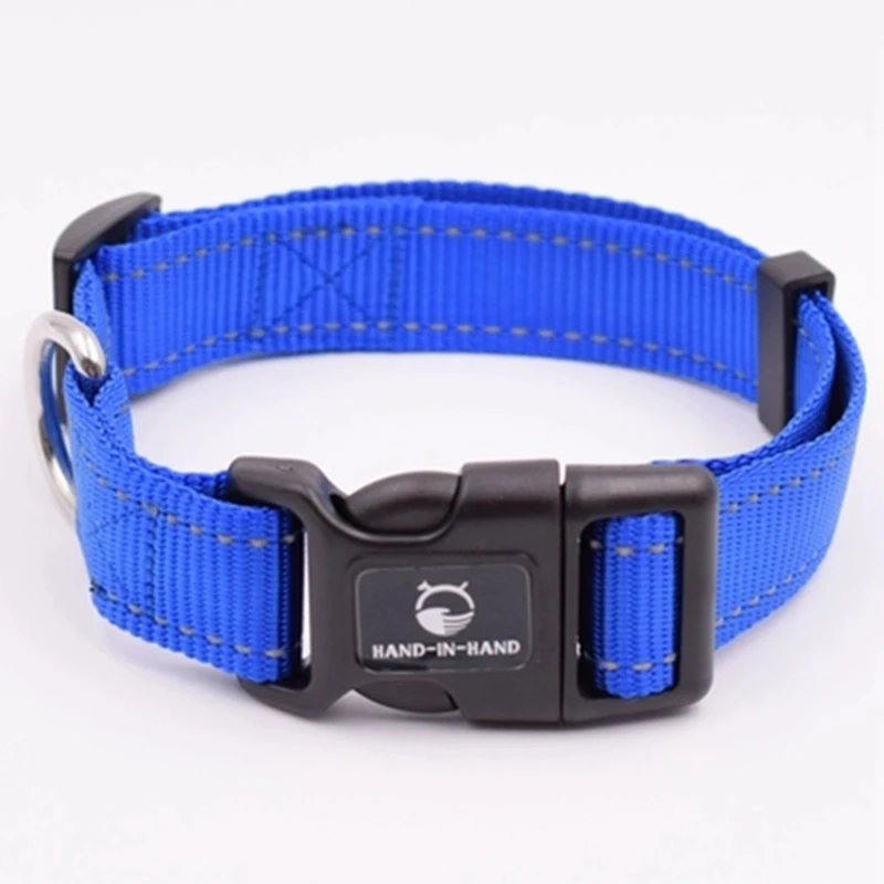 correas para perros (4)