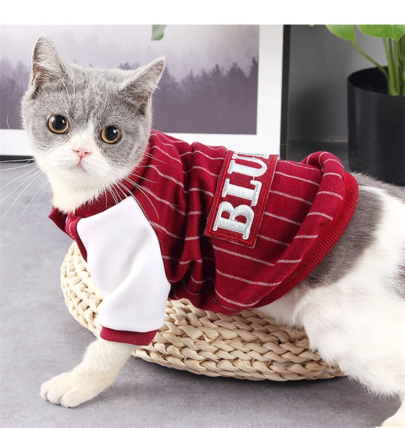 Одежда для кошек, куртка для кошек
