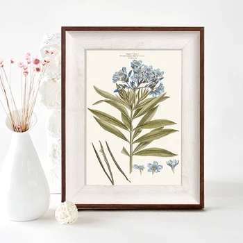 

1PC American Simple Photo Frame Desktop Decor Picture Frame For Office Plastic Frame For Family Photos Plant marcos para fotos