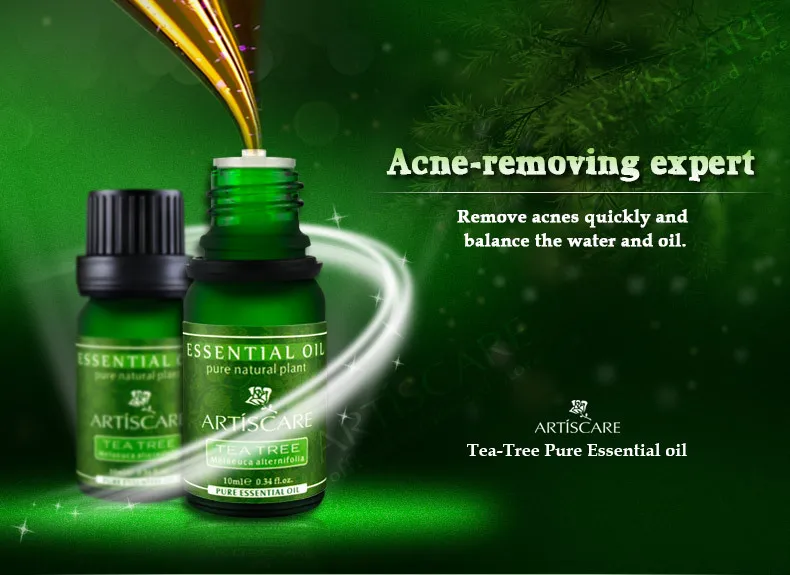 tea-tree_01