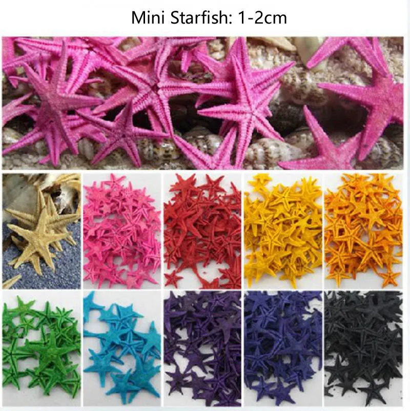 

100pcs Colorful Natural 1-2cm Starfish For Moss Terrarium Home Desktop Decor/Crafts/Bonsai/Doll House/Miniatures