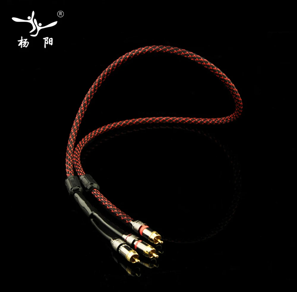 RCA2RCA_03