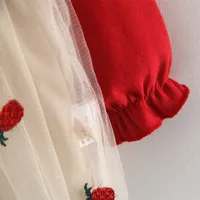 Lawadka 6M-3T Spring Newborn Baby Dresses for Girl Princess Lace First Birthday Girl Party Dresses Red Baby Outfits Clothes 2024 5