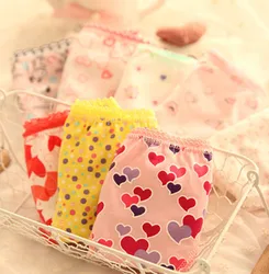 

2016 New Real Calcinha Infantil Children Girl Underwear Short Panties Brief Flower Baby Kids Underpants 100% Cotton 4pcs/lot D31