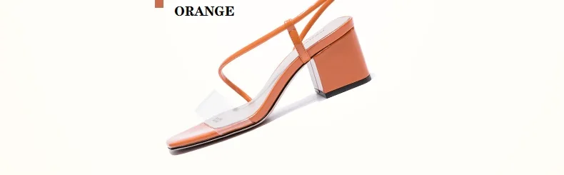 O1CN016HUf6D1CxMjMmtGFU_!!240610147