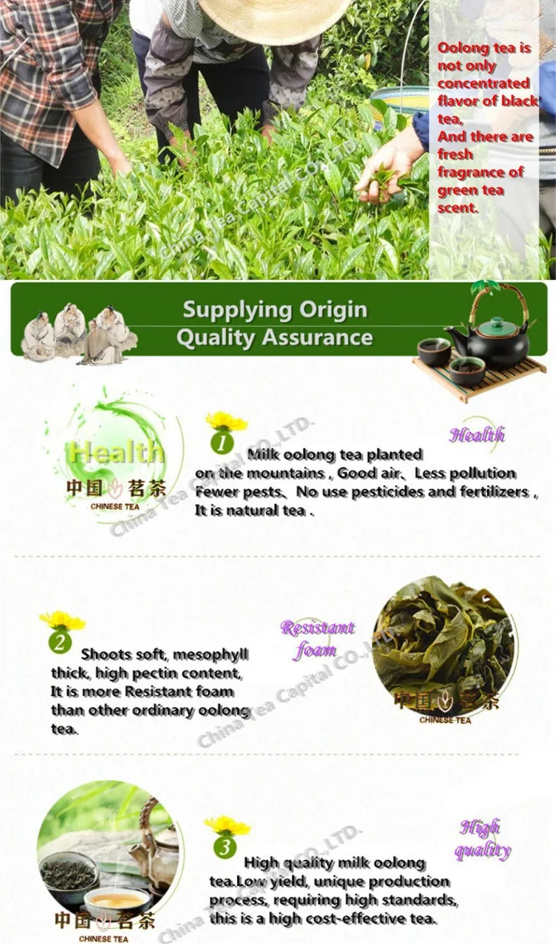  Super Wholesale Jin Xuan Milk Oolong Tea 50g High Quality Tieguanyin Green Tea Milk Oolong Superior Health Care Milk Tea 