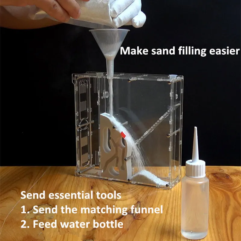 New Ant Workshop Ecological Ant Nest Ant Castle Bow Back Ants Acrylic Sand Nest Sandcastle Home Living Ants (5)