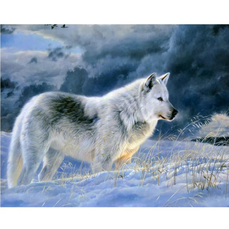 

Painting By Numbers DIY Dropshipping 40x50 50x65cm Lonely snow white wolf Animal Canvas Wedding Decoration Art picture Gift
