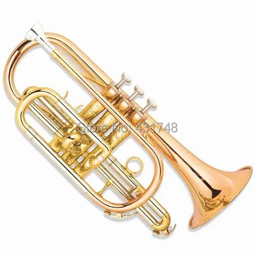 Bb Trumpet Yellow Brass Gold Lacquer with Case and Mouthpiece