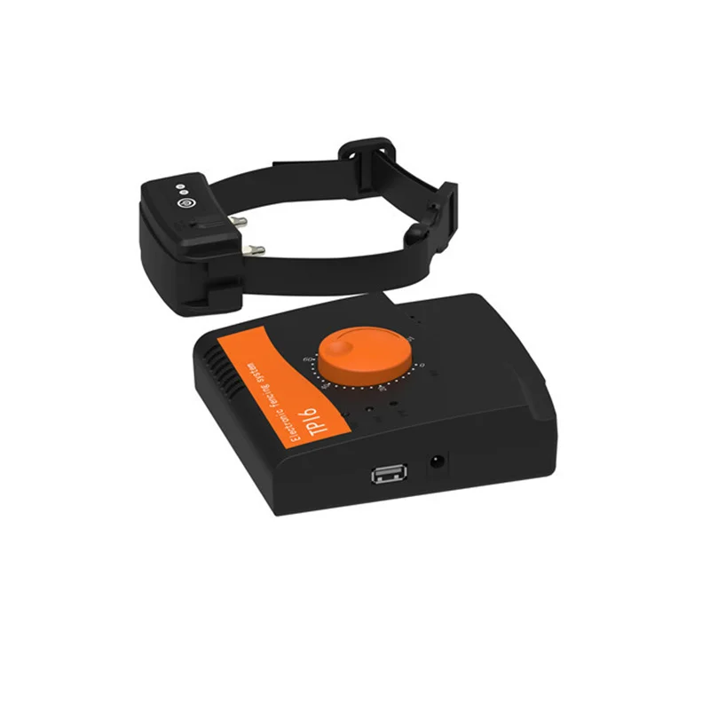 3847036835_888720359