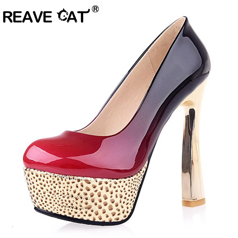 cat with high heels