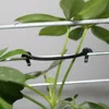 100 Pcs Vines Fastener Tied Buckle Hook Plant Vegetable Grafting Clips Agricultural Greenhouse Clamping Supplies ► Photo 3/5