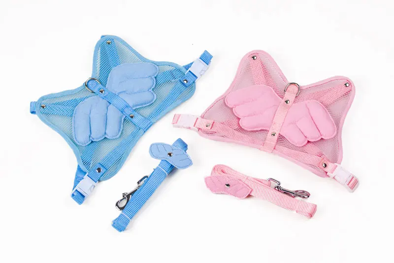 10 harness dog
