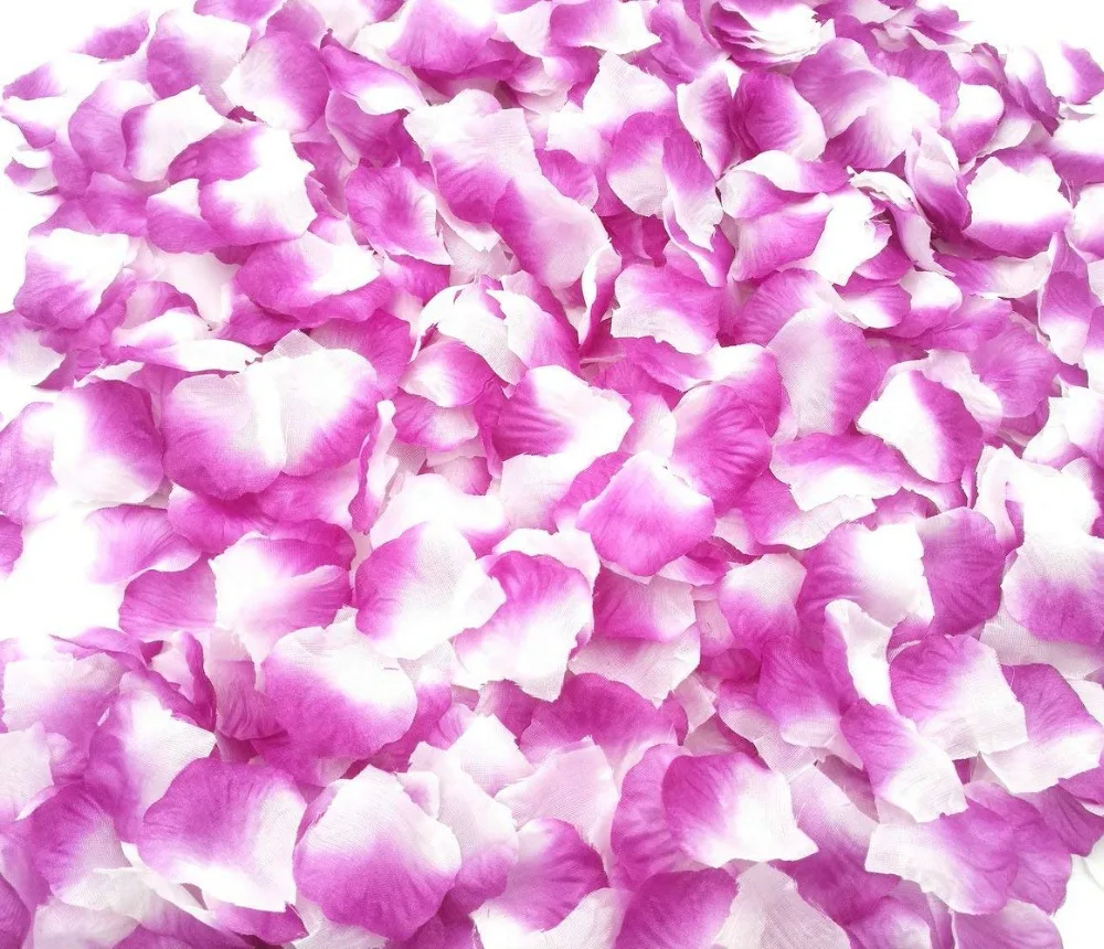 rose petals for wedding (3)