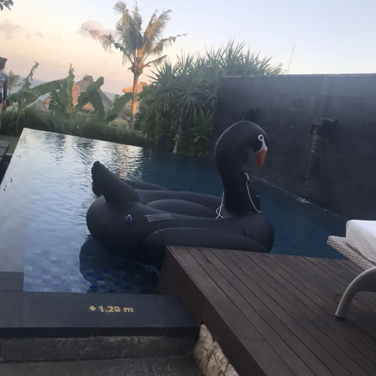 Black golden color swimming tube pool vison water float inflatable party toys air huge inflatable sea 190cm swan Beach (7)
