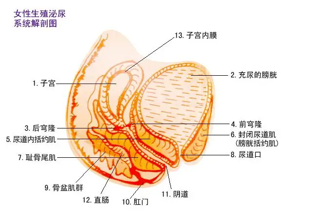 QQ20180625234711