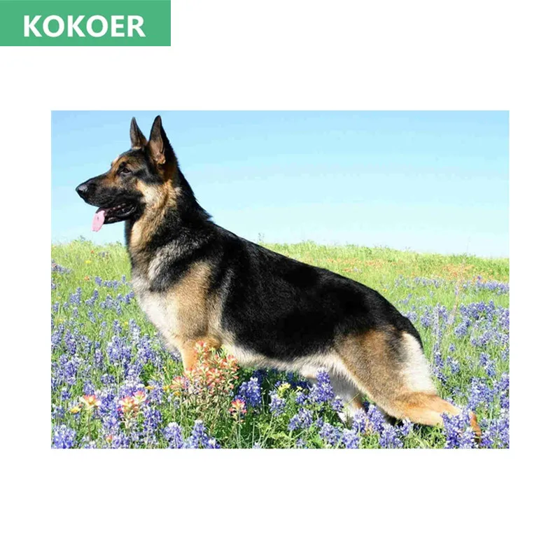 

3D Diamond Painting Shepherd Cross Stitch Crystal 5D Diamond Mosaic Rhinestone Decorative Painting Icon Diamond Embroidery dog