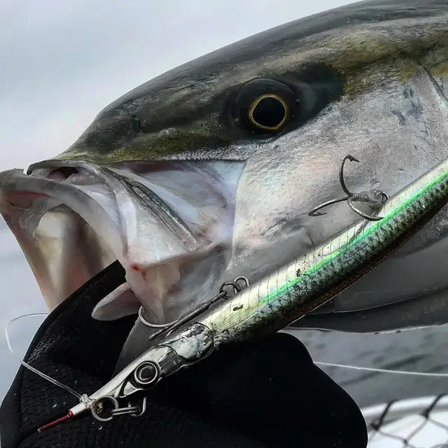 US $4.30 Hunthouse Sayoris fishing pencil stickbait bait sinking seabass predator fish long cast fishing lur