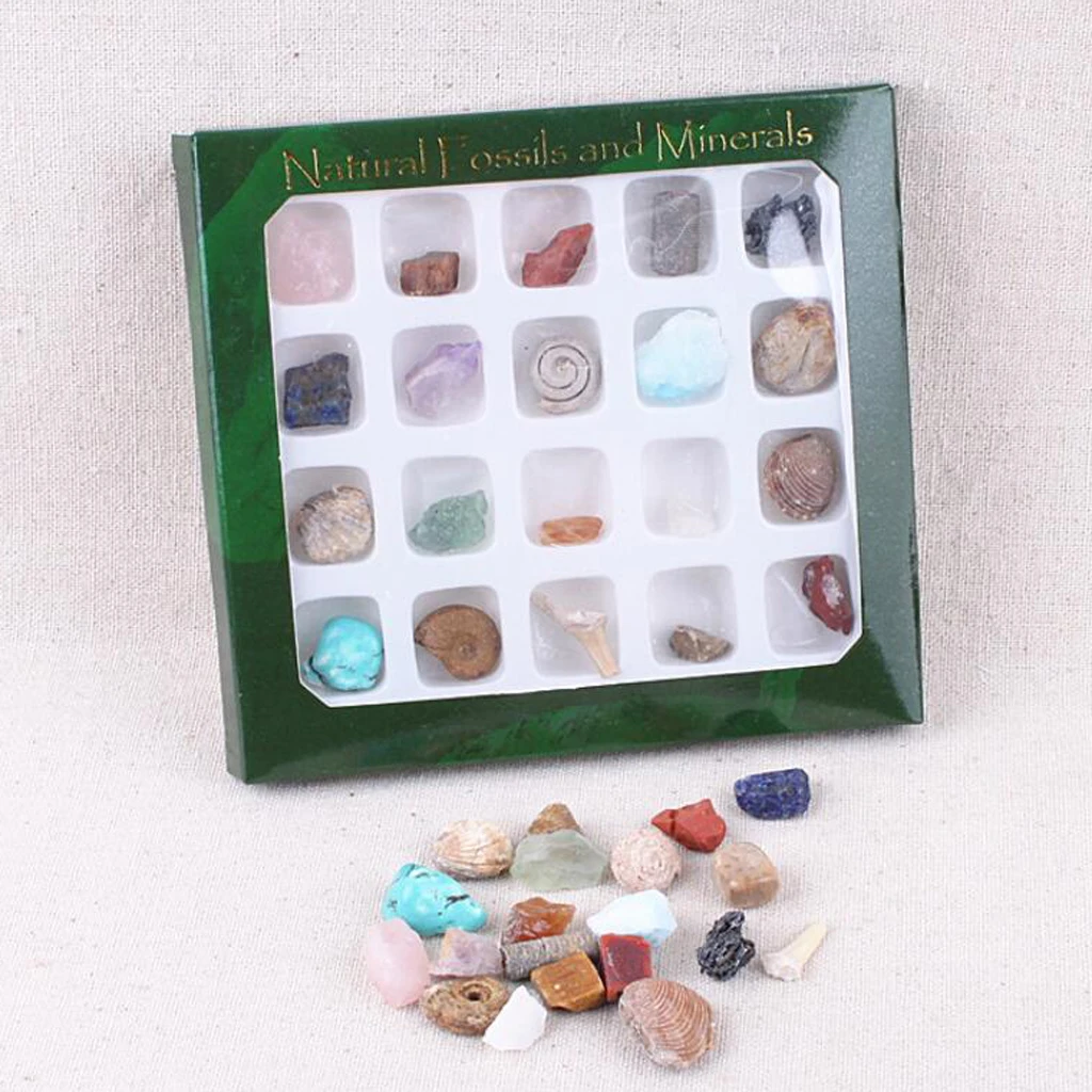 Rock & Mineral Collection GN201 Geology Science Kit Earth Science Toy - Pack Of 20