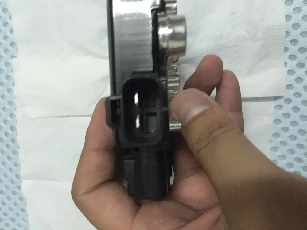 IMG_4299