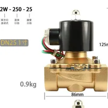 DN25 1-дюймовыечистые этикетки пробки Латунь Электромагнитный винт AC220V DC12V DC24V