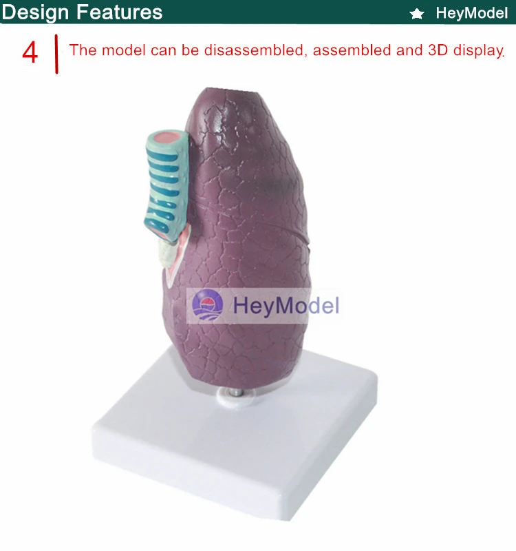 4 _