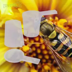 Пластик Пчеловодство съедобные класса вход фидера Bee водное пьяница чаша куст инструмент оборудование двор