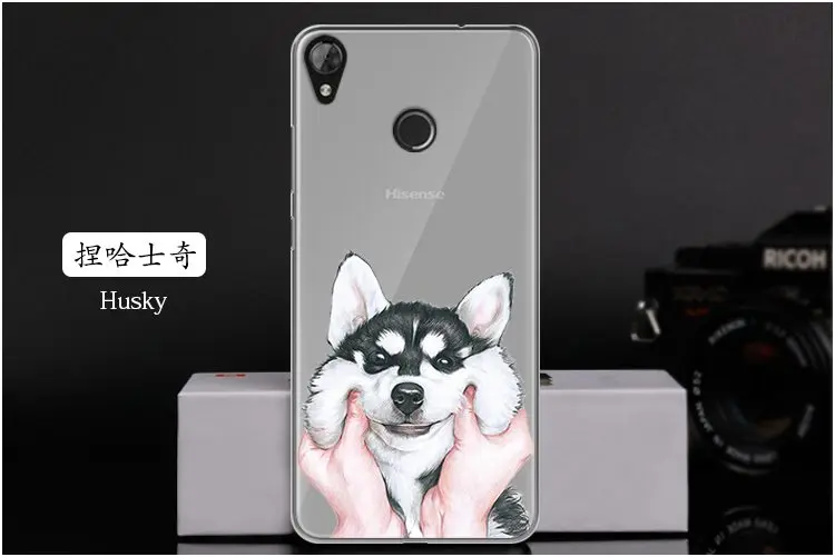  Husky