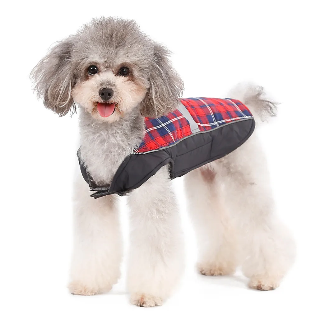 Dog Clothing (5)