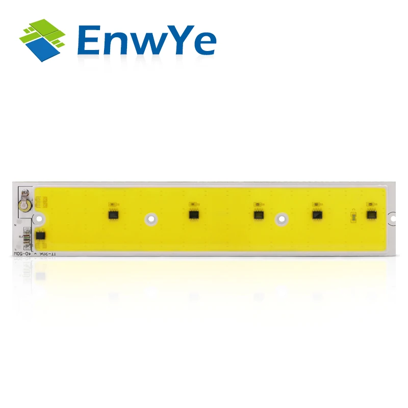 EnwYe 50 Вт 100 Вт COB простой прожектор 220 В Светодиодный прожектор Refletor LED Наружное освещение Gargen лампа новейшая