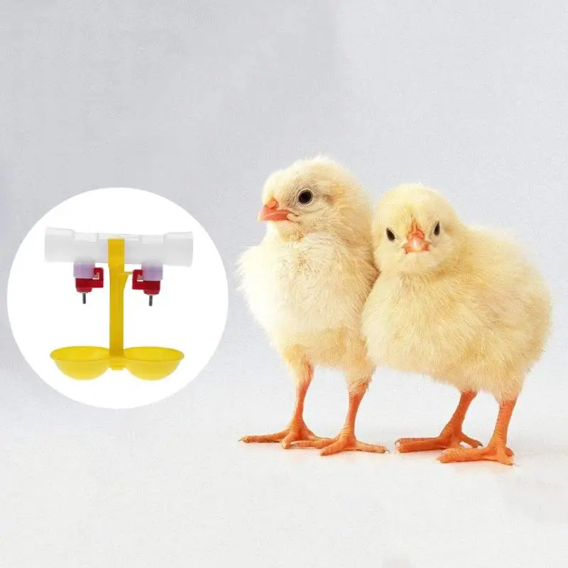 

Double Outlet Drinking Hanging Chickens Cups Nipple Drinker Poultry Water Feeding Supplies Feeder Drinker for Chickens