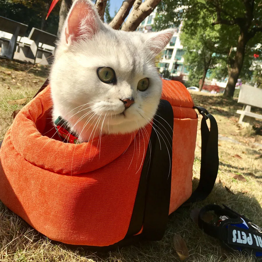 Собака кошка дорожная сумка Doggy червь складной переноски Сумки для небольших